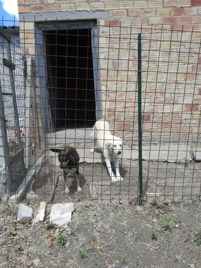 B&B Pozzo Innamorato Montenero di Bisaccia Exterior foto